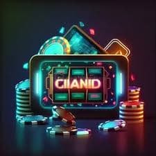 555rr casino